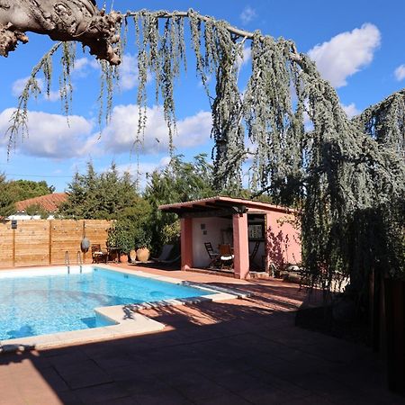 El Cedre Blau Vivienda Con Piscina En Granollers Villa Exteriör bild